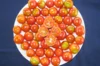 Tomates cerises - Tommy Toe