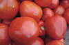 Tomates - Cœur de Bœuf Géant / Reif Red