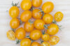 Tomates cerises - Blondköpfchen