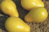 Tomates-Cerises - Beams Yellow Pear