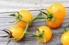 Tomates cerises - Esther Hess Yellow