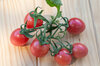Tomates cerises - Podland Pink