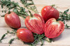 Tomates - Cœur de Bœuf Akers