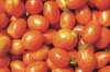 Tomates - Tonnelet