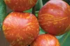 Tomates - Red Zebra