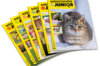 Abonnements Magazines - Abonnement Magazine Salamandre Junior Abonnements Magazine Salamandre Junior 1 an (8-12 ans) 6 numéros