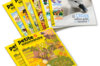 Abonnements Magazines - Abonnement Magazine Petite Salamandre Abonnements Magazine Petite Salamandre 1 an (4-7 ans) 6 numéros + 2 HS
