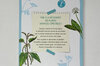 Livres pour enfants - Les plantes sauvages comestibles