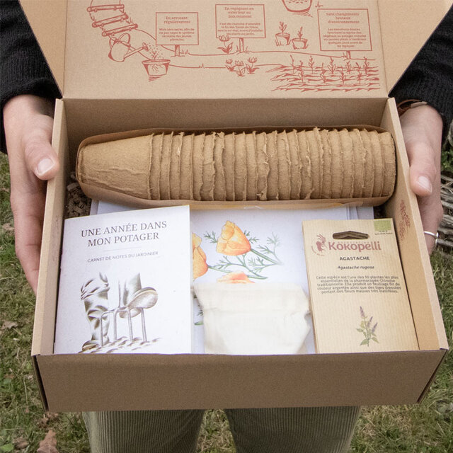 Box de graines Box de graines Plantes à tisanes Association Kokopelli