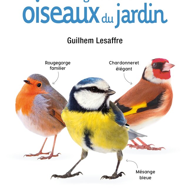 Biodiversité - Mini-guide Des Oiseaux Du Jardin | Association Kokopelli