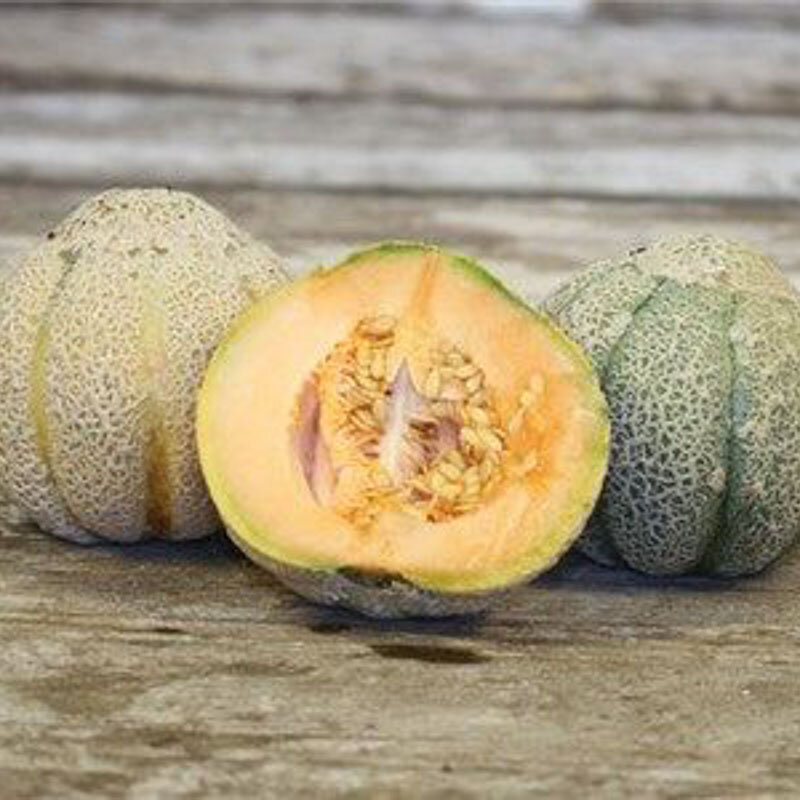 Melons Golden Jenny Association Kokopelli