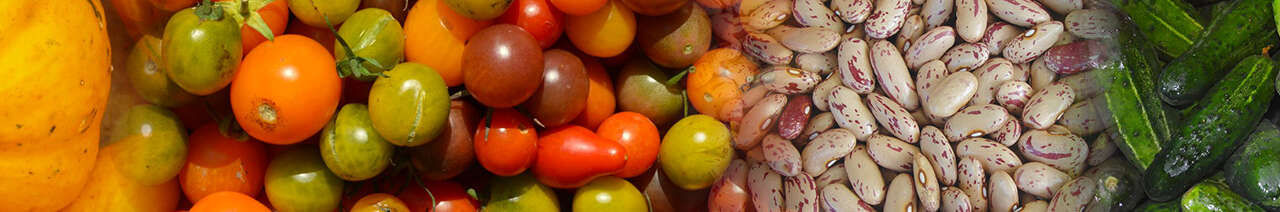 Légumes-Fruits