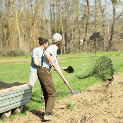 Décembre au potager