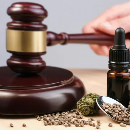 CBD : que dit la loi en France ?