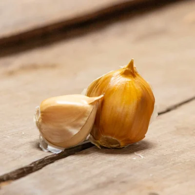 Caïeux d'Ail Éléphant bio - Allium ampeloprasum