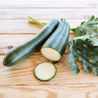 Courgette Striato d’Italia - Allongée