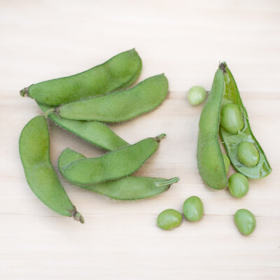 Soja Edamame Midori Giant