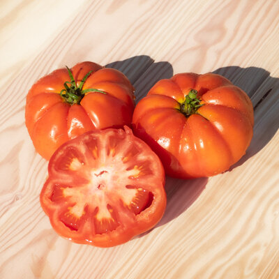 Tomate Rouge Mi-Saison Rouge de Namur