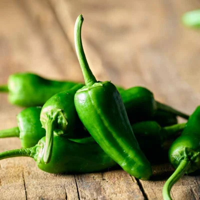 Piment Doux / Poivron Vert/Mi–Saison Padron