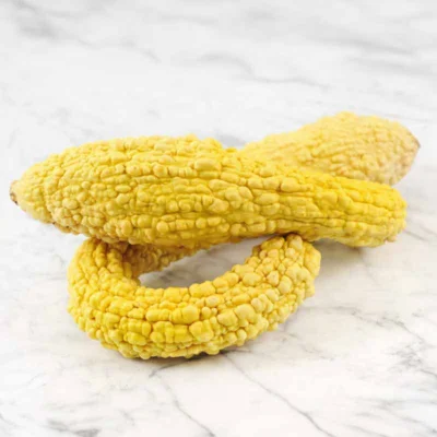 Courgette Pop-Corn / Rugosa Friulana