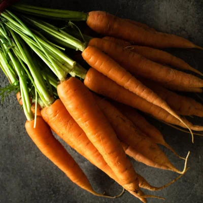 Carotte Tip Top (Nantaise Améliorée)