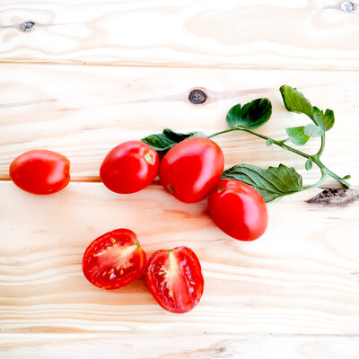 Tomate-Cerise rouge Early Cherry