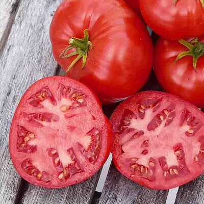 Tomates - Wayahead
