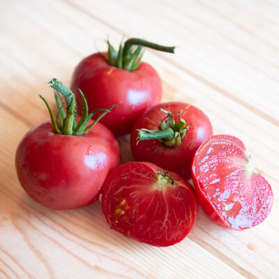 Tomate Rose Mi-Saison Brimmer