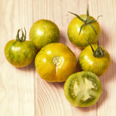 Tomate Verte Mi-Saison Green Zebra