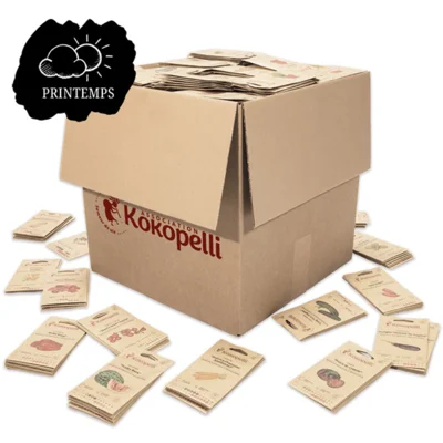 Assortiment de printemps de 72 variétés pour le présentoir en bois double face pivotant