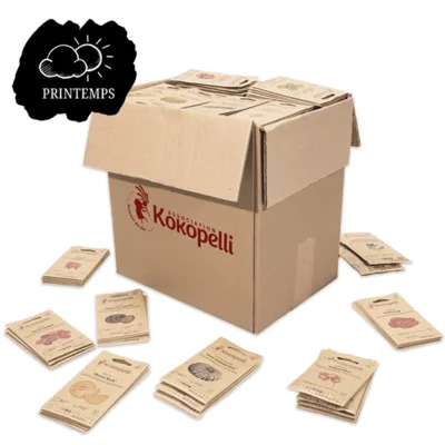 Assortiment de printemps de 36 variétés pour le présentoir en bois une face