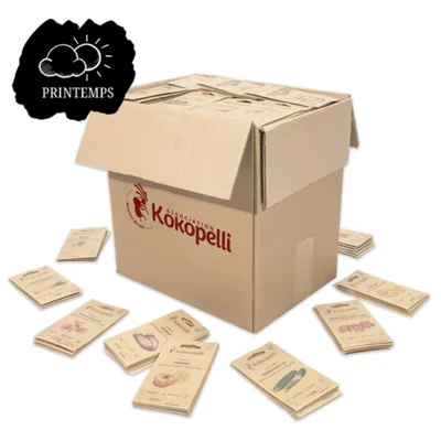 Assortiment de printemps de 35 variétés pour le grand présentoir en carton