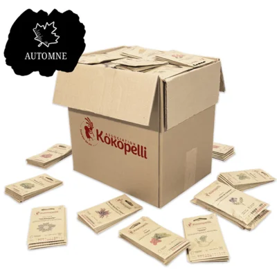 Assortiment d'automne de 40 variétés pour le présentoir mural en bois