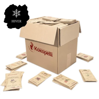 Assortiment d'hiver de 40 variétés pour le présentoir mural en bois