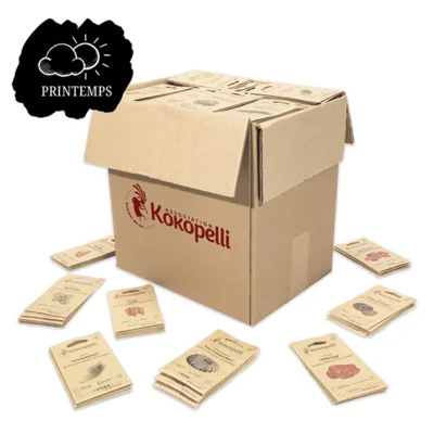 Assortiment de printemps de 40 variétés pour le présentoir mural en bois