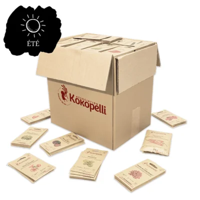 Assortiment d'été de 40 variétés pour le présentoir mural en bois