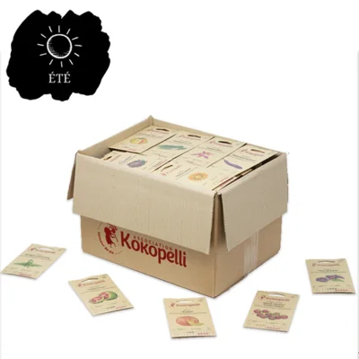 Assortiment d'été de 16 variétés pour le présentoir de comptoir en bois