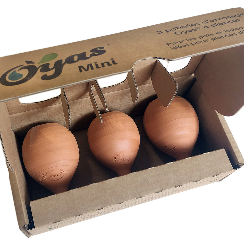 S'adapter à la sécheresse - Pack de 3 Ollas à planter Mini