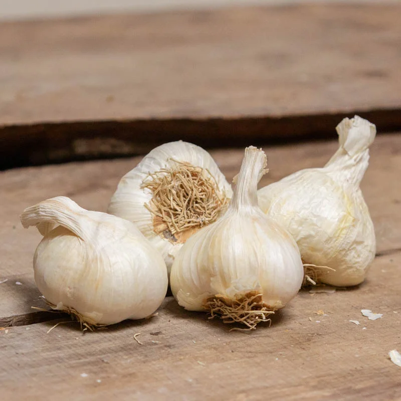 Bulbes d'ail - Bulbes d’Ail blanc d'automne "Messidrome” bio – 250 g