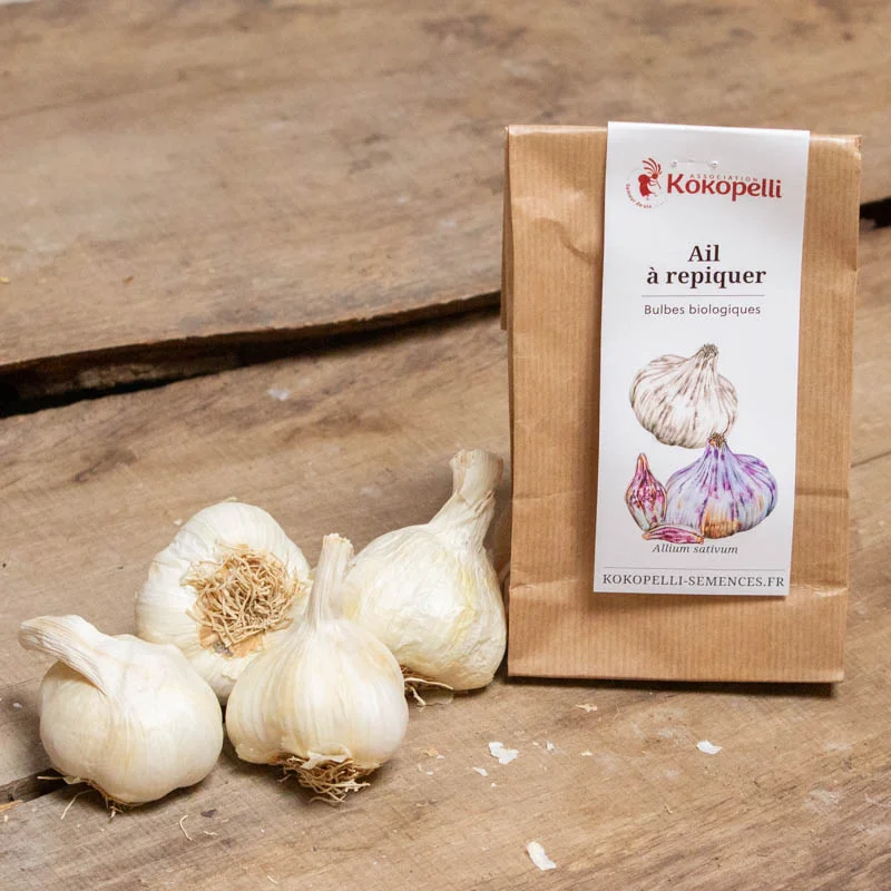 Bulbes d'ail - Bulbes d’Ail blanc d'automne "Messidrome” bio – 250 g