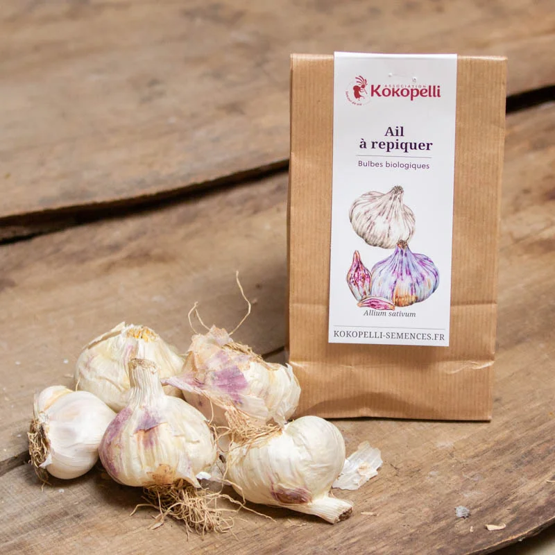 Bulbes d'ail - Bulbes d’Ail blanc d'automne "Thermidrome” bio – 250 g