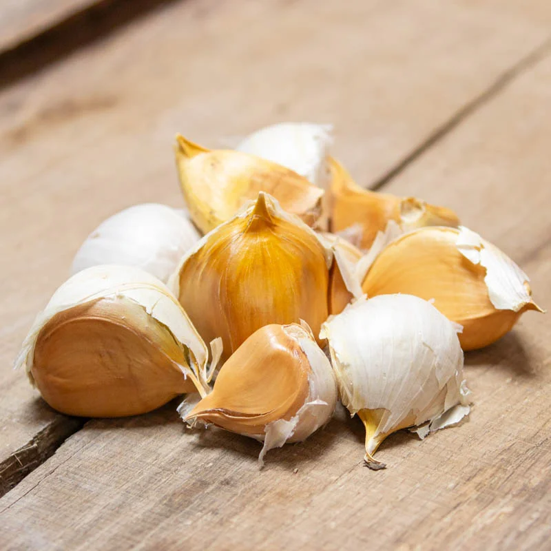 Bulbes d'ail - Caïeux d'Ail Éléphant bio - Allium ampeloprasum 10 caïeux ail éléphant