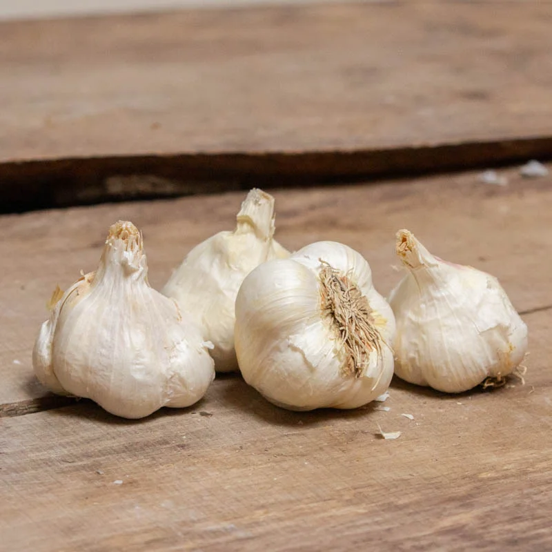 Bulbes d'ail - Bulbes d’Ail blanc "Messidor” bio – 250 g