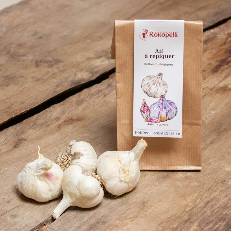 Bulbes d'ail - Bulbes d’Ail blanc "Messidor” bio – 250 g