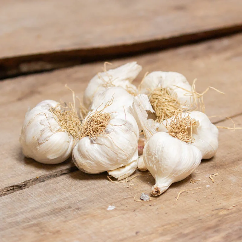 Bulbes d'ail - Bulbes d’Ail blanc " Precosem " bio – 250 g