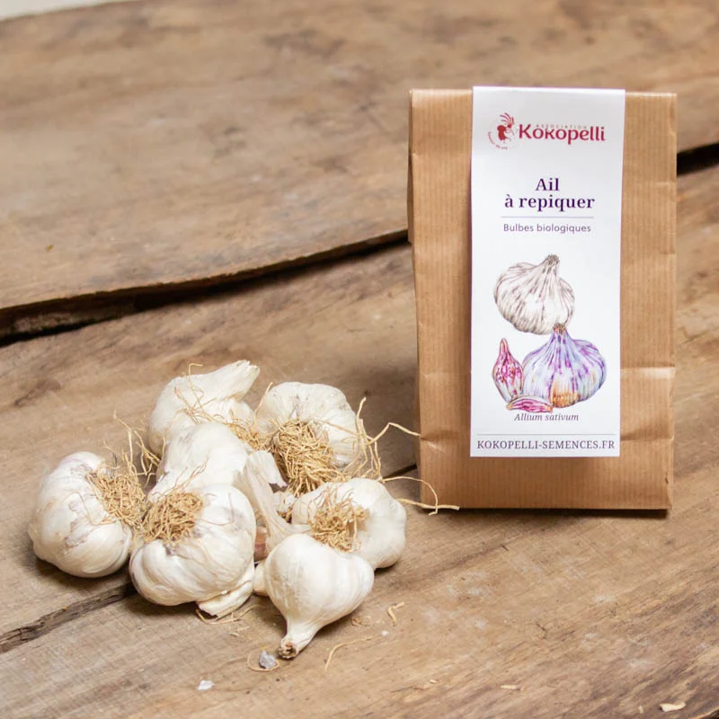 Bulbes d'ail - Bulbes d’Ail blanc " Precosem " bio – 250 g