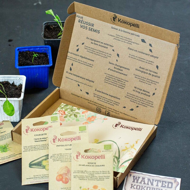 Box & coffrets de graines - Box de graines - En route vers la diversité