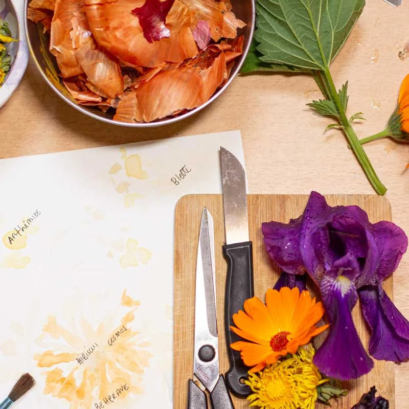 Ateliers - Atelier - Atelier - Peinture Végétale & Aquarelle Naturelle-  3h Atelier - vendredi 26 septembre 2025 à 9h30