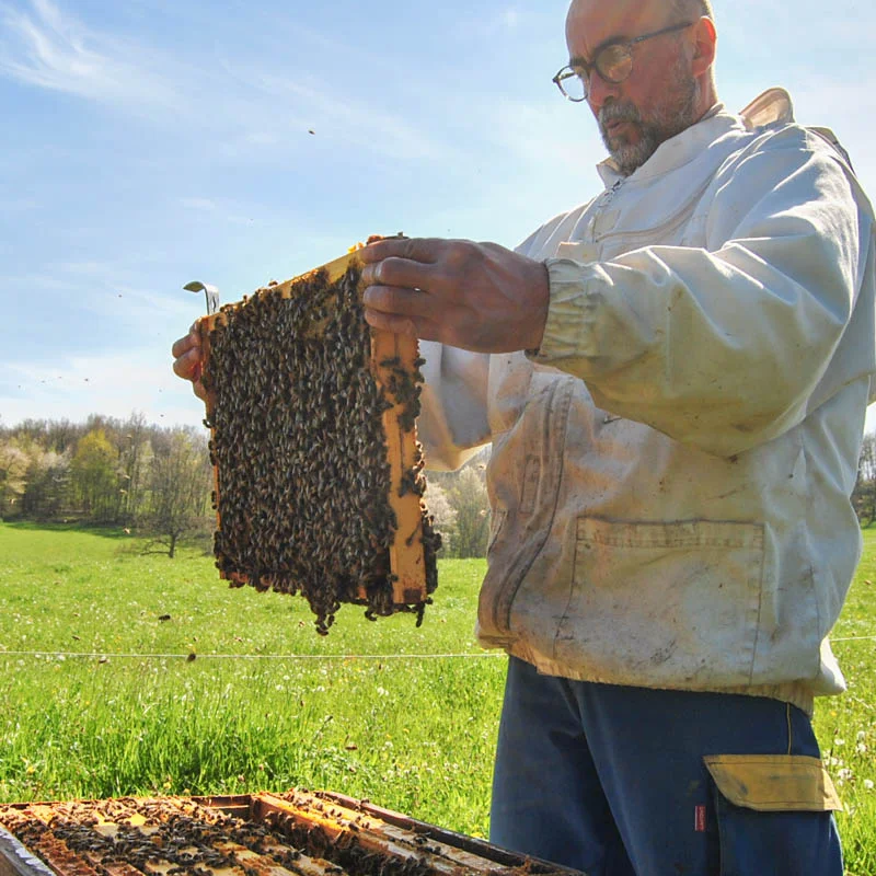 Ateliers - Atelier - Initiation à l’apiculture - 3h Samedi 2 août 2025