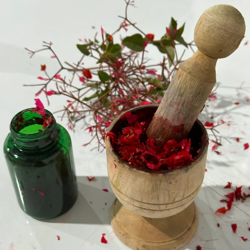 Ateliers - Atelier - Anthotype - initiation à la photographie végétale - 3h Atelier - samedi 26 juillet 2025 à 9h30